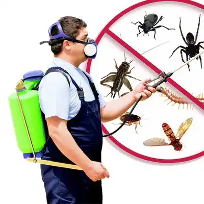 pest control Pine Bush